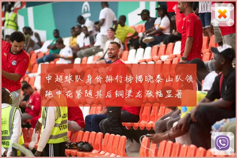 中超球队身价排行榜揭晓泰山队领跑申花紧随其后铜梁龙涨幅显著