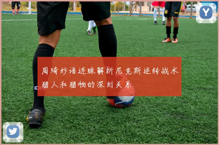 周琦妙语连珠解析尼克斯逆转战术猎人和猎物的深刻关系
