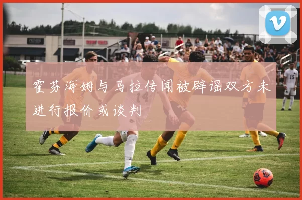 霍芬海姆与马拉传闻被辟谣双方未进行报价或谈判